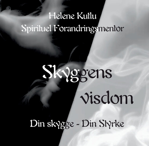 Mini workshop Skyggens Visdom