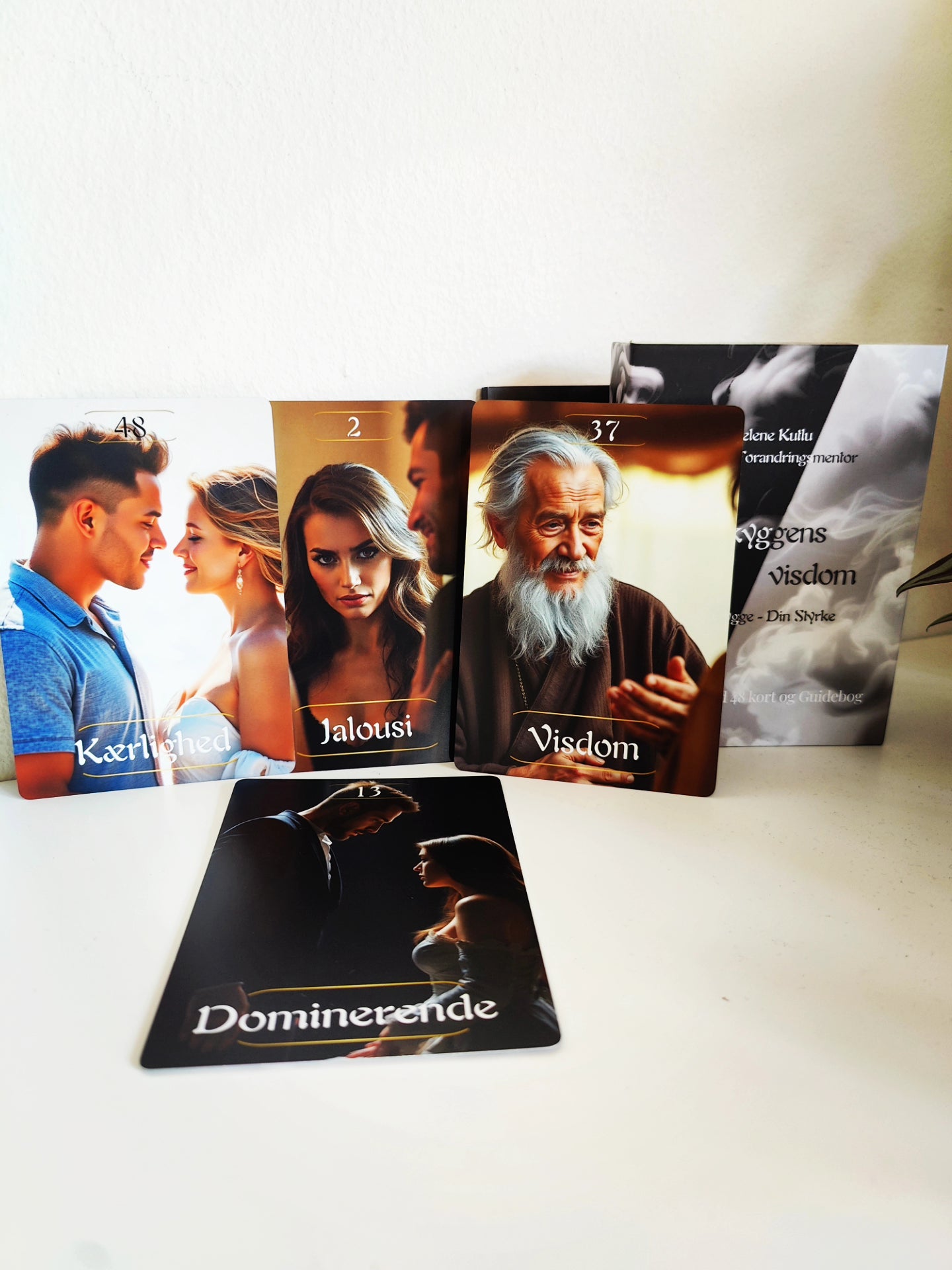 Skyggens Visdom - Din skygge Din Styrke